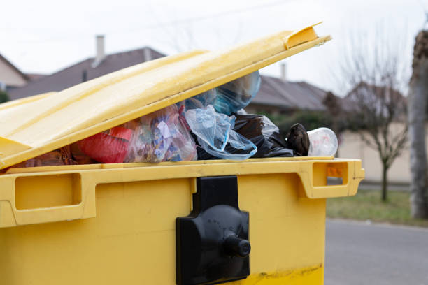 Best Yard Waste Removal  in Whitg, IN